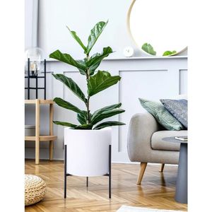 Planten potcilinderplanter met zware stand staan grote 14 inch 21 hoogte modern wit 240325