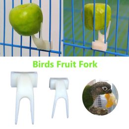 Fruit d'oiseau en plastique Fruit perroquet