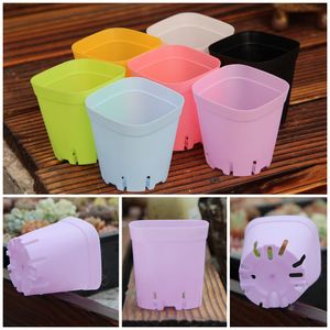 Pot de fleurs en plastique Multicolore Mini Square Succulentes Race Base Flowerpot Flower cSpecial Purpose Bottom Respirant Basin BH2360 TQQ