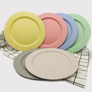 Borden 10 inch rond plat plaat snelle lade tarwe rietje milieuvriendelijk plastic steak koud gerecht met dinersalade thee restaurant