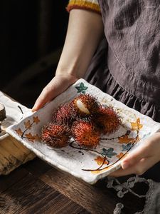 Borden creatieve persoonlijkheid Japans handgeschilderde keramische sushiplaat salade schotel koud snack kwartet servies