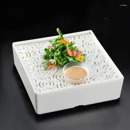 Assiettes en mélamine, assiette de glace sèche, carrée créative ajourée Sushi Sashimi Dessert Restaurant vaisselle spéciale