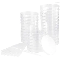 Yo-petri – ensemble d'assiettes avec couvercles, 100 Pipettes de transfert en plastique (3Ml), Kit pour projets d'expo-sciences scolaires