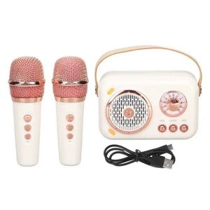 Joueur Dual Microphone Karaoke Machine améliorée Bass 6 Modes Famille KTV Système PA Président avec micro pour l'activité de la fête