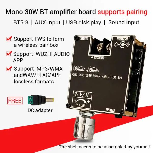 Players Mono 30W TWS Bluetooth 5.3 Board d'amplificateur audio USB MP3 / WMA / WAV / FLAC / AMP MODULE PUILLE MODULE