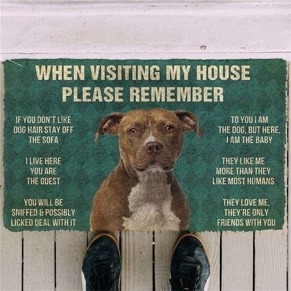 N'oubliez pas que paillasson en flanelle douce, antidérapant, pour chambre à coucher, porche, chien américain Staffordshire Terrier, décor imprimé, 220301