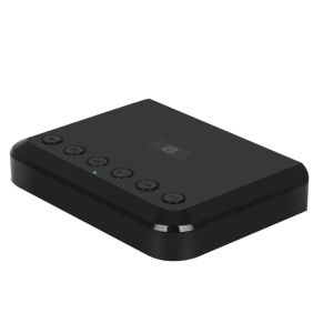 Plugs Retail Wireless WiFi Audio Receiver pour DLNA NAS Multiroom Stream Stream Optical Bluetooth 5.0 Music Audio Adapter WR320 EU PLIG