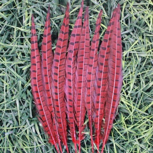 Plumas Para Manualidades! 10pcs / lot 12-14 