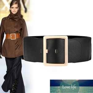 Cinturón de corsé de talla grande Cinturones de vestir para mujer Cinturones elásticos Ancho Diseñador Cinturon Mujer Estiramiento Vintage Cintos grandes Precio de fábrica Diseño experto Calidad