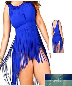 Plus size jurken Fringe Swimwear Swimsuits Sexy Push Up High Taille One Piece Big Size Tassel Bathing Swims Swimsuits Beachwea1365682