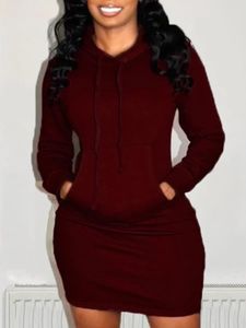 Grande taille col à capuche poche kangourou Sweat Robe Mini robes femme solide à manches longues vêtements tunique Robe 240129