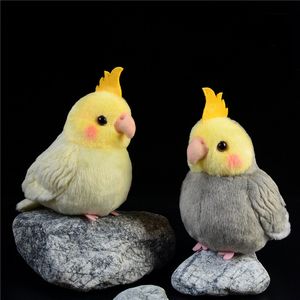 Plush -poppen 12,5 cm hoog geelface valkparketjes knuffels speelgoed echt zoals normaal grijze valkparkietparrot vogels pluche poppencadeaus 230525