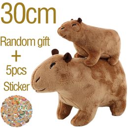 Poupées en peluche 1830 cm Capybara Simulation Capibara Anime jouet pelucheux animaux en peluche poupée douce enfants cadeau d'anniversaire envoi autocollant 231013