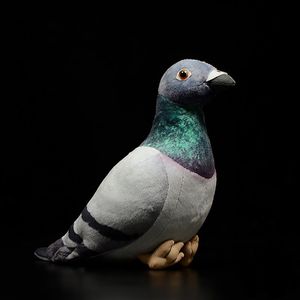 Muñecos de peluche de 19 cm de alto, juguetes de peluche realistas de Gray Hill, palomas realistas suaves, pájaros, animales de peluche, regalos de juguete para niños 230614