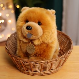 Poupées en peluche 1 pc 30 cm Kawaii Fluffy Chow peluche jouet mignon réaliste chiot chien poupée peluches cadeaux d'anniversaire pour garçon filles 230302