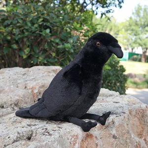 Poupées en peluche 20 cm de haut doux corbeau à gros bec jouets en peluche réalistes oiseaux noirs corbeau animaux en peluche cadeaux pour enfants 230927