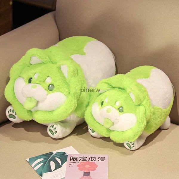 Poux en peluche 25/35 cm Cabbage shiba inu chien mignon végétal fée anime jouet pelucheux en peluche en peluche douce kawaii oreiller bébé