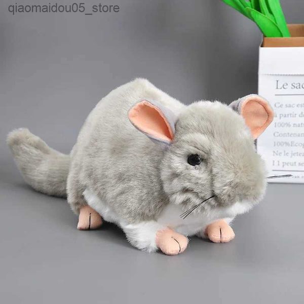 Muñecas de peluche 25 cm Vida real Gorda Chinchilla Relleno de peluche Animal Juguete suave Lindo Chinchilla Lanni Granmolina Muñeca de peluche Regalo para niños Mascota Q240227