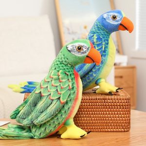 Pluche Poppen 26Cm Simulatie Gevulde Pop Papegaai Wilde Dieren Vogels Voor Kinderen Speelgoed Decoratie 230711