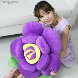 Poux en peluche 30cm 3d Rose Oreiller Fleurs Coussié