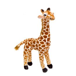 Pluche Poppen 3555 cm Real Life Giraffe Gevulde Zachte Levensechte Aanimals Doll Kids Home Decor Verjaardagscadeau voor Kinderen 230711