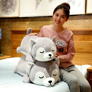 Poupées en peluche 3575 cm mignons Husky et Shiba Inu Corgi jouets en peluche remplis d'animaux doux oreiller de chien cadeau de noël Peluche donne aux enfants et aux filles un cadeau Kawaii 230329