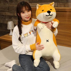 Poupées en peluche 60 120 cm mignon Shiba Inu chien chat jouets en peluche longs animaux sommeil petit ami oreiller poupée bureau coussin enfants filles cadeau 230323