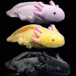 Poupées en peluche Axolotl peluche douce simulation réaliste Ambystoma Mexicanum rose dinosaure modèle animal poupée pour fille Audlt cadeau 231211