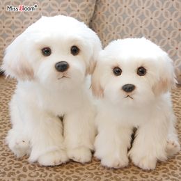 Pluche poppen Boneka Anjing Maltese Mainan Mewah Hewan Peliharaan Simulasi Lucu Berbulu Hadiah Ulang Tahun Bayi Natal Anak anak Malebe Drop 230905