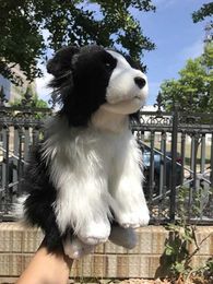 Poux Polls Border Collie High Fidelity Animation mignonne en peluche mouton en peluche jouet life animal simulation Poll 33 cm J240410