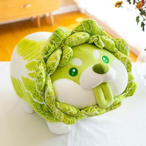 Pluche poppen kool shiba inu hond schattig groente sprookje anime speelgoed pluizige gevulde planten zachte pop kawaii kussen baby kinderen speelgoed 221024