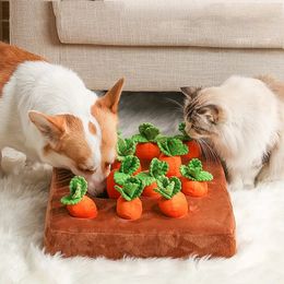 Poupées en peluche jouets pour chiens à mâcher jouet pour chat carotte légumes pour animaux de compagnie à mâcher renifler animaux cacher la nourriture pour améliorer les habitudes alimentaires accessoires pour chiens durables 231016
