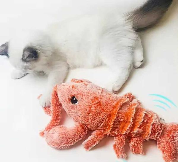 Poux en peluche électrique Flip Lobster Cat jouet avec des crevettes sautantes Jouet lavable interactif en peluche avec sac de nourriture pour chats adapté aux chats et chiots J240410