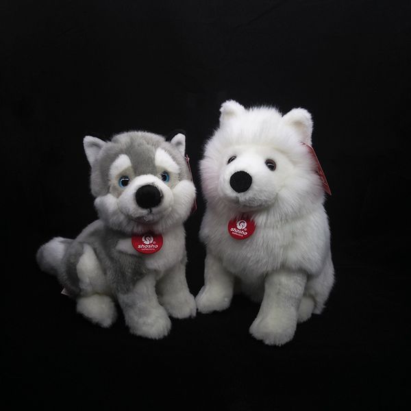 Muñecos de peluche Realista Samoyedo Juguetes de peluche Husky siberiano Juguetes de peluche Simulación Cachorro de perro Animales de peluche Regalos de juguete para niños 230614