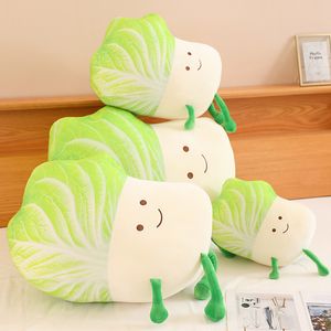 Muñecas de peluche encantadoras vegetales almohada de dibujos animados repollo peluches cojín anime suave niños juguetes kawaii decoración de la habitación 230823