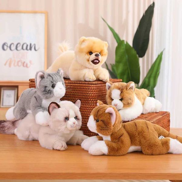 Plush muñecas simuladas gato almohada peluche juguete real animal títere gato pomerania muñeca muñeca niña decoración de hogares niños regalos de Navidad J240410