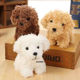 Polondes en peluche taille 9 * 8cm jouet du chien duvelu 3Colors Gift Polde Polde Petit Chain Chain Pendant Gift 231118