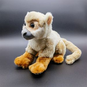 Poupées en peluche Singe écureuil Anime Mignon Plushie Saimiri Sciureus Jouets en peluche Animaux réalistes Simulation Peluche Poupée Jouet Enfants 230921