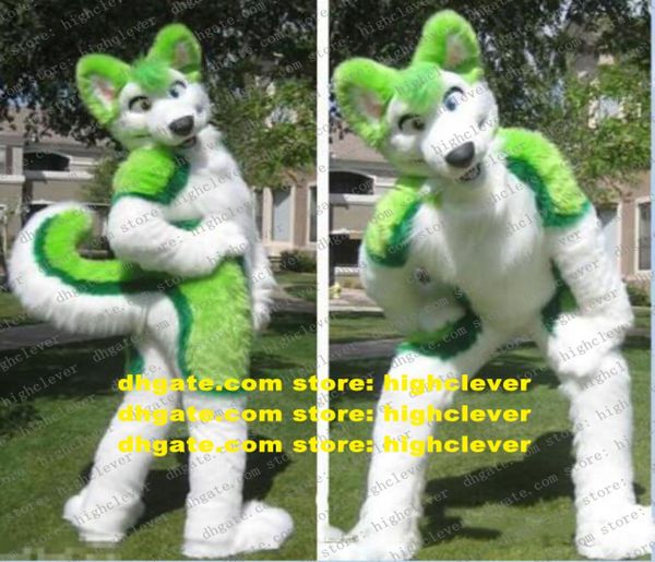 Plux Furry Green Husky Dog Fox Wolf Fursuit Mascot Costume Adult Cartoon Characon Tesit Megaevent Advertising Drive ZZ75966602269