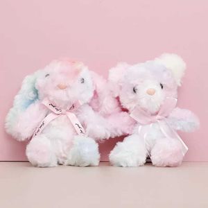 Plush Keychains 17cm cartoon cavai bont regenboog konijn pluche pop schattige regenboogbeer zacht gevulde pluche speelgoed sleutelhanger hanger kinderscharm cadeau s2452803