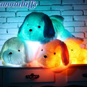 Peluche Light - Up Toys 30/50 cm LED brillant chien en peluche grande taille clignotant LED lumière chiot jouet lumineux mignon chien poupée en peluche enfants poupée bébé anniversaire 231114