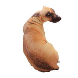 Oreillers en peluche Coussins 3D Mignon Bend Chien Imprimé Coussin Réaliste Animal Drôle Tête De Chien Cosplay Enfants Préféré Jouet Coussin Lavable pour La Maison 230726