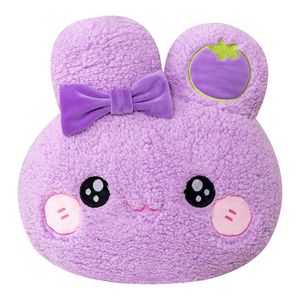 Oreillers en peluche Coussins 40 cm Lapin Jouets Peluche Lapin Poupée Canapé Décor De Pâques Doux Oreiller Cadeaux 230628