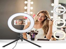 PO LED SELIE Stick Stick Fill Filt Light 10inch Dimmable Camera Téléphone Locon pour le maquillage Video Live Studio1688656