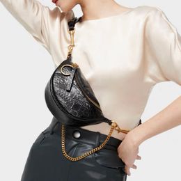 Sacs de coffre de poche de créateurs de sacs de sacs femmes crossbodybody luxury fashion épaule sacs à main de haute qualité portefeuille portefeuille hobo métallique
