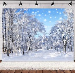 Pographie en fond d'enfants d'hiver Snow Forest Snowflake Po Banner Banner pour PO Studio 240411