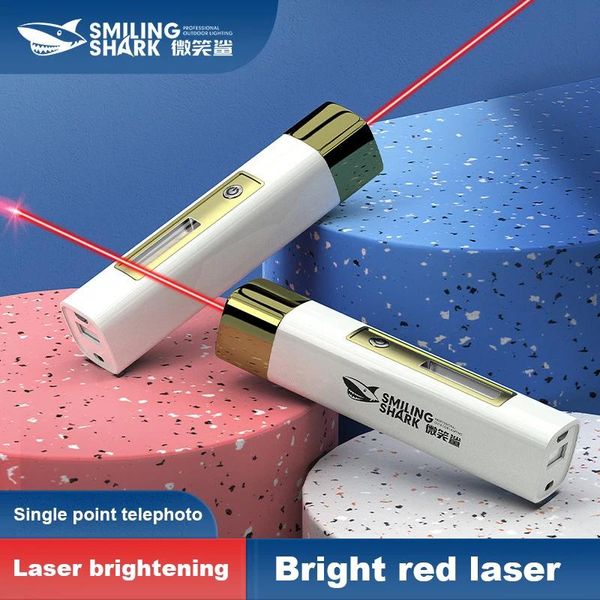 Pointeurs 2 couleurs pointeur Laser pointeur Laser Projection enseignement stylo de démonstration avec lumière latérale Cob longue portée Laser taquin chat jouets