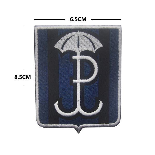 Patches de drapeau en polon