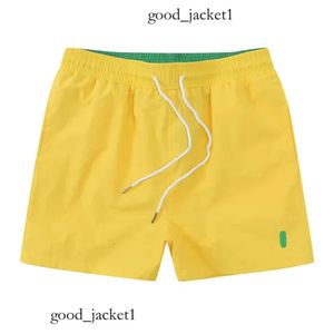 shorts polo shorts pour hommes shorts concepteurs pour hommes nage shorts d'été