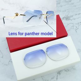 Lente poligonal para estilo Panther 1130 y 1200, lentes de repuesto para gafas de sol, lentes de colores con orificio (solo lentes)